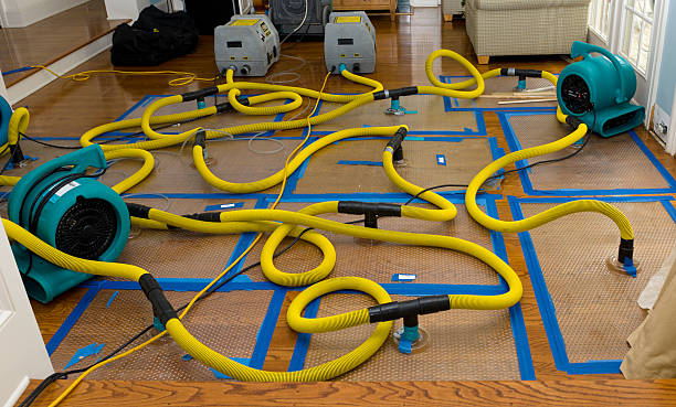 Professional Structural Drying And Dehumidification technician working in Selkirk, NY